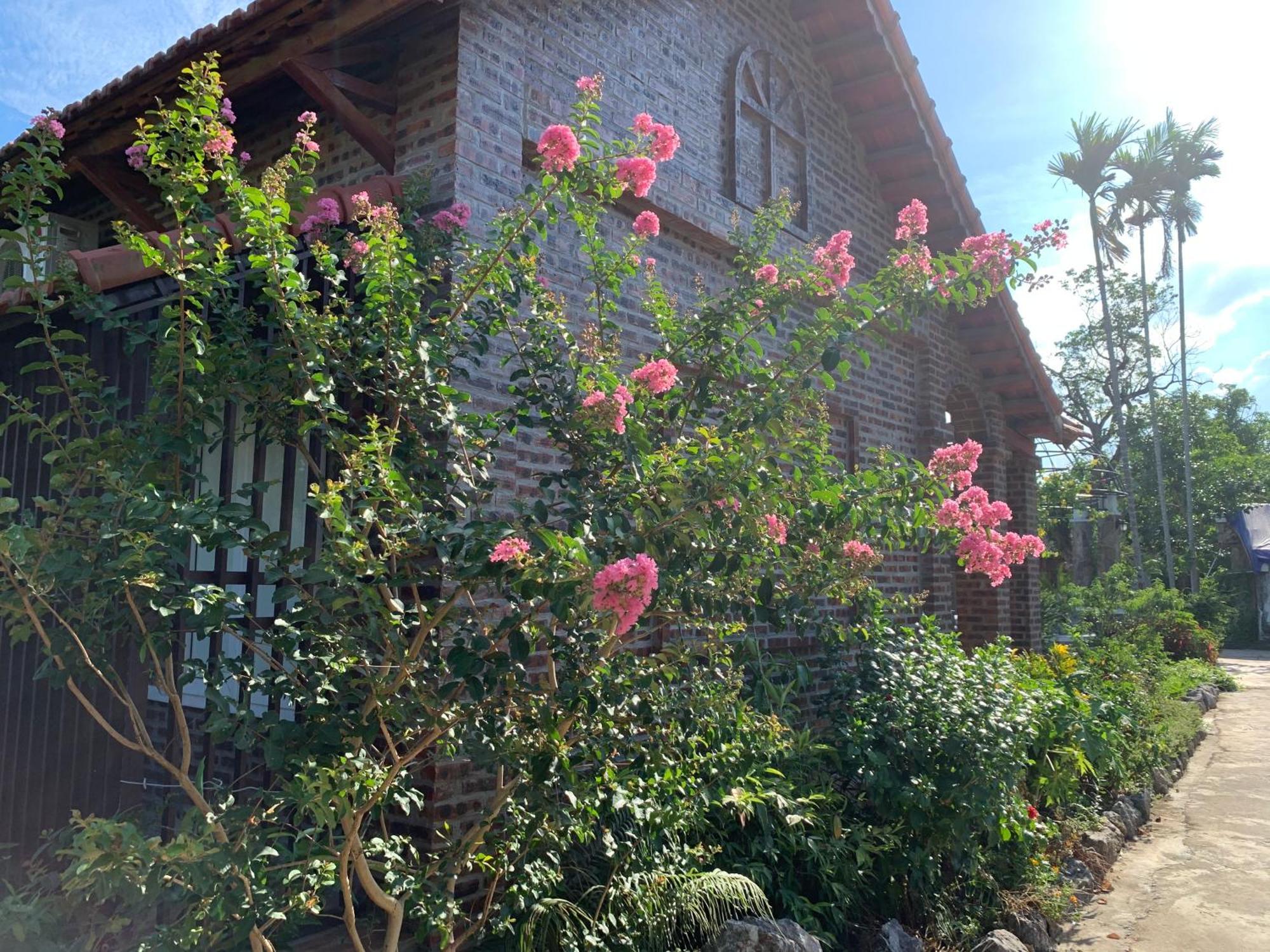 Dinh Gia Home Villa & Resort 닌빈 외부 사진